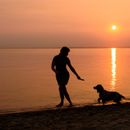 Sommer-Workout mit Hund: Fitness-Tipps für heiße Tage