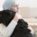 Demenz bei Hunden