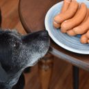 Darf mein Hund Wurst und Schinken essen?