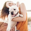 Gardasee mit Hund - Hundewiesen, Badeplatz für Hunde, Hundestrand am Gardasee