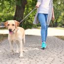 Wandern mit Hund in Südtirol - die besten und schönsten Routen für dich und deinen Vierbeiner