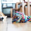 Hundespielzeug für kleine Hunde