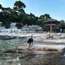 Ein Hundeurlaub im Isabella Valamar Collection Island Resort