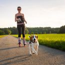 Rollerskaten oder Skateboard fahren mit dem Hund