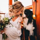 Dogs at the wedding - here's how you can incorporate your favorite one