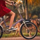 Riding a bike with the dog - Forbidden?