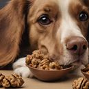 Can my dog eat walnuts or is it poisonous?