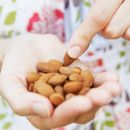 ¿Los perros pueden comer almendras?