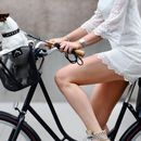 ¿Andar en bicicleta con el perro está prohibido?