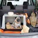 Viaje por carretera a España con perro: cómo hacerlo de forma relajada
