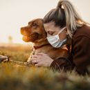 ¿Cómo acostumbrar al perro a que los humanos ahora llevan mascarillas por el coronavirus?