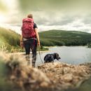 Vacaciones con perro en el Tirol