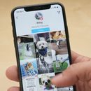 Apps pour les propriétaires de chiens - ces 10 apps que vous devez connaître