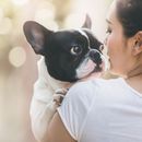 Combien de races de chiens existe-t-il ? 2021 ! Le numéro actuel