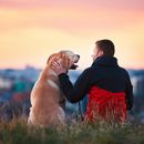 Labrador, mint terápiás kutya - eljárás, költségek, hol, hogyan, mit és miért 