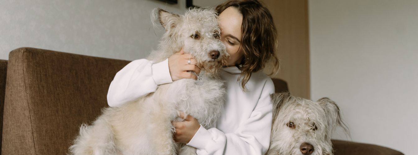 14 Lebensmittel, die für Hunde giftig sind