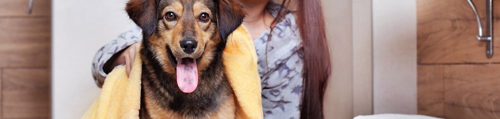 Badetuch Hund Lächeln,Hund,Lila,Fleischfresser,Gelb,Glücklich,Hunderasse,Komfort,Kitz,Tisch, Bademantel, Hundebademantel, Gelbes Handtuch für Hund, Hundetandtuch, Hund im Badezimmer, Hund baden, duschen, Shampoo für Hunde