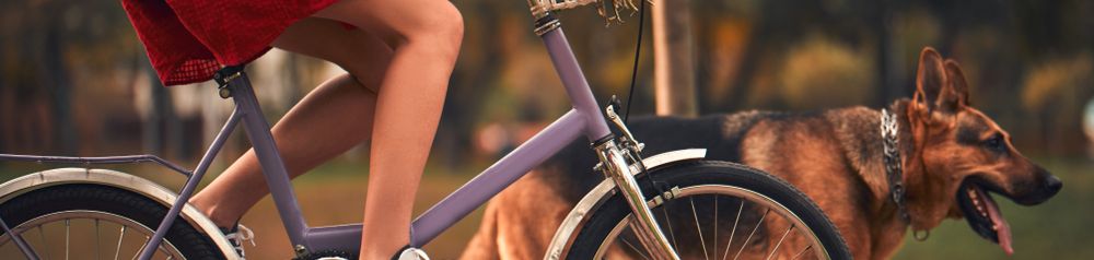 Fahrradfahren mit Hund Schäferhund beim Radfahren mit Besitzerin