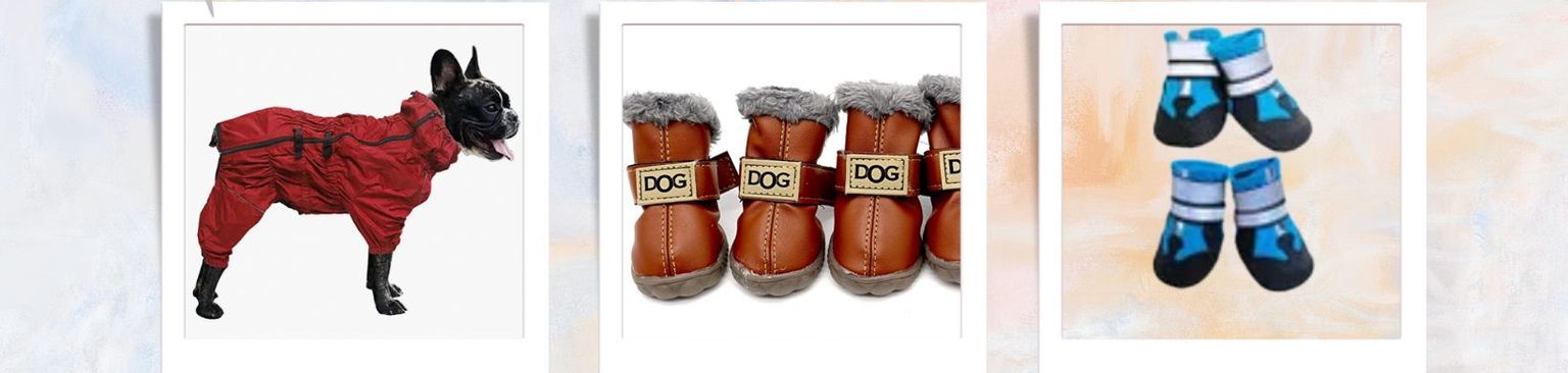 Hundeklamotten im Winter Produkt,Trinkgeschirr,Geste,Flüssigkeit,Schrift,Geschirr,Kunst,Arbeitstier,Malerei,Illustration,