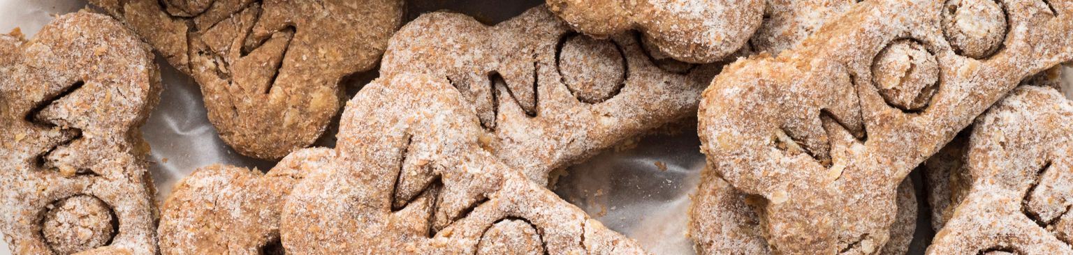 Hundekuchen Hundekuchen, hundesnack selbst gebacken, Woof Knochen backen, Snack für Hunde