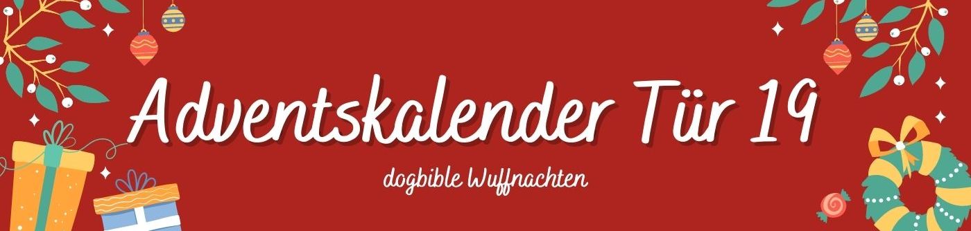 Tür 19 Adventskalender für Hunde Schriftart,Magenta,Beschilderung,Werbung,Rechteck,Event,Himmel,Marke,Banner,Poster,