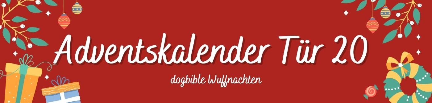 Tür 20 Adventskalender für Hunde Schriftart,Magenta,Beschilderung,Rechteck,Werbung,Event,Poster,Banner,Marke,Grafik,