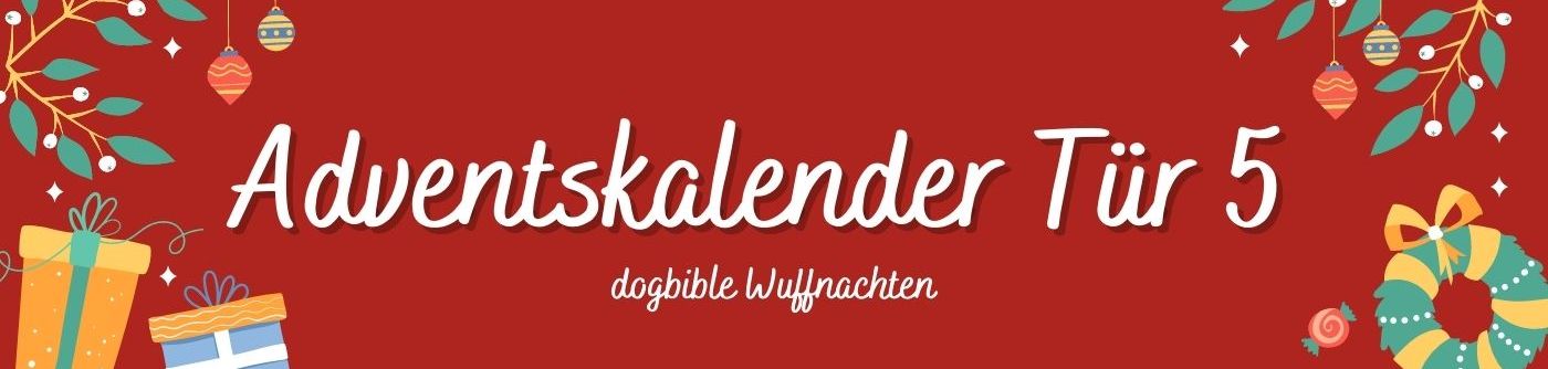 Tür 5 Adventskalender für Hunde Schriftart,Rechteck,Magenta,Werbung,Event,Himmel,Banner,Beschilderung,Marke,Grafik,