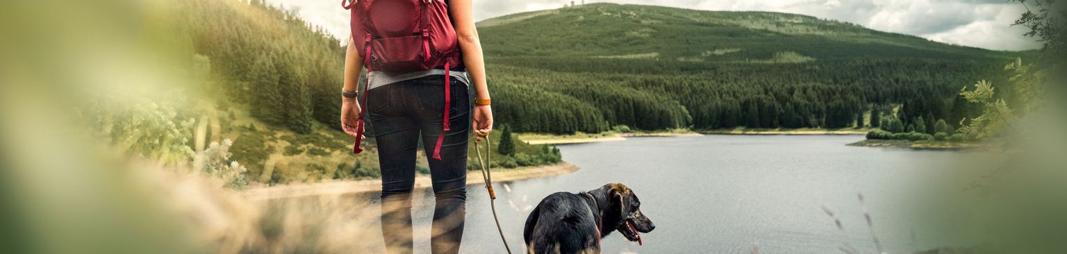 Wandern mit Hund am See Menschen in der Natur, Abenteuer, Hundewandern, Wildnis, Canidae, Hund, Wandern, Wandern, Erholung, Hundespaziergang, Wandern mit Hund, Camping mit Hund, Wanderungen in der Wildniss