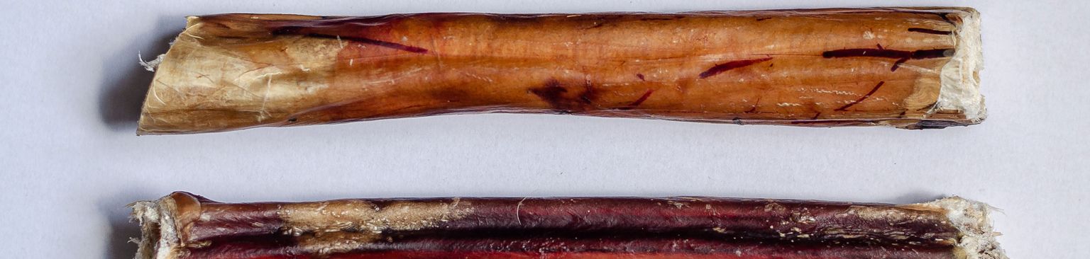 Bullwhip chewing stick Cuisine,