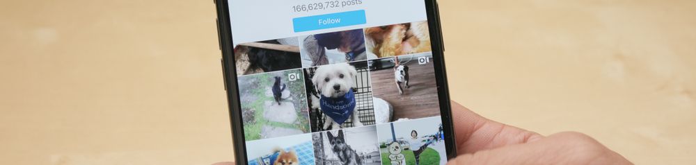 Hashtag dog on instagram, background
