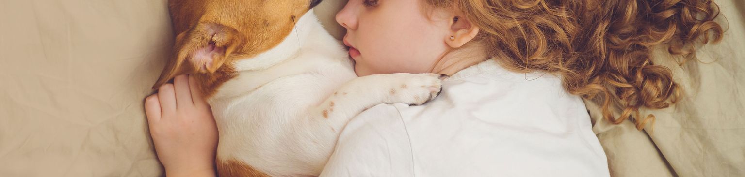 La esposa duerme con el perro en la cama pelo, gato, piel, nariz, oreja, felidae, mejilla, interacción, abrazo, niño, mujer pelirroja duerme en la cama con su perro, terrier duerme en la cama con, deben dormir los perros en la cama