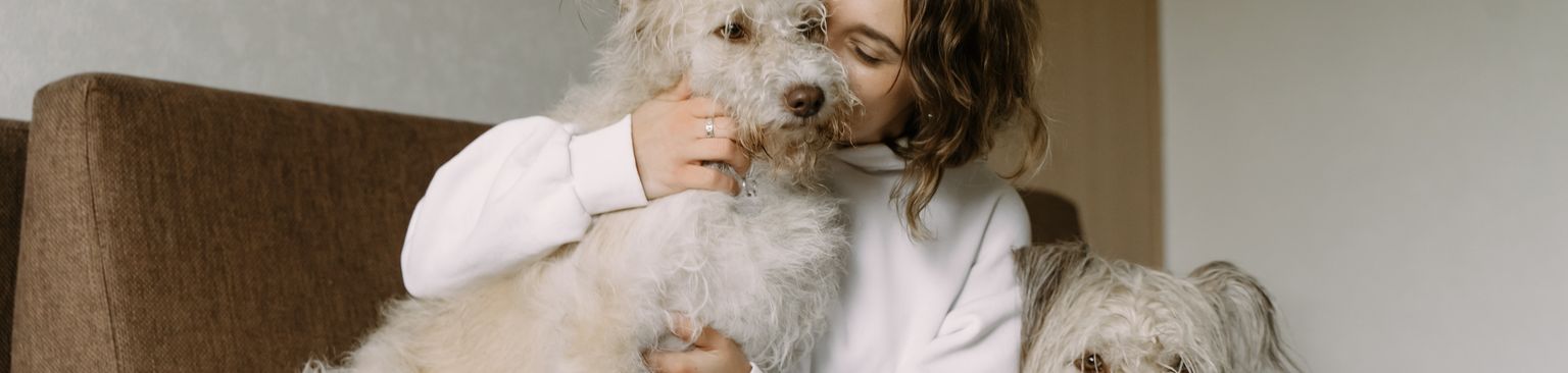 Mujer con dos perros en el sofá Perro,Raza de perro,Comodidad,Marco,Carnívoro,Mamífero,Leonado,Accesorios para perros,Perro de compañía,Sofá,