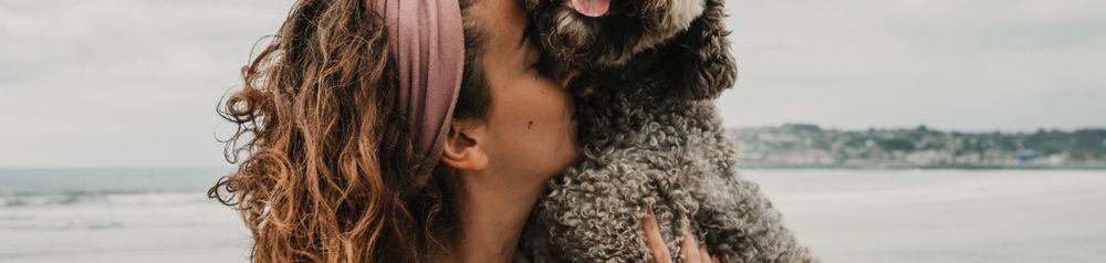 Chien d'eau espagnol au bord de la mer avec son propriétaire chien d'eau espagnol câlinant son maître sur son bras, haletant et riant, en arrière-plan vous pouvez voir la mer, chien brun avec des boucles, race de chien espagnol