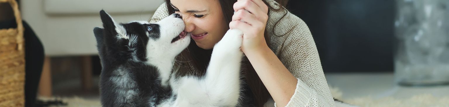 femme avec husky jouant sur le sol White, Husky, Snapshot, Black hair, Leg, Fur, Woman with dog cuddling on the carpet (Femme avec chien faisant des câlins sur le tapis)