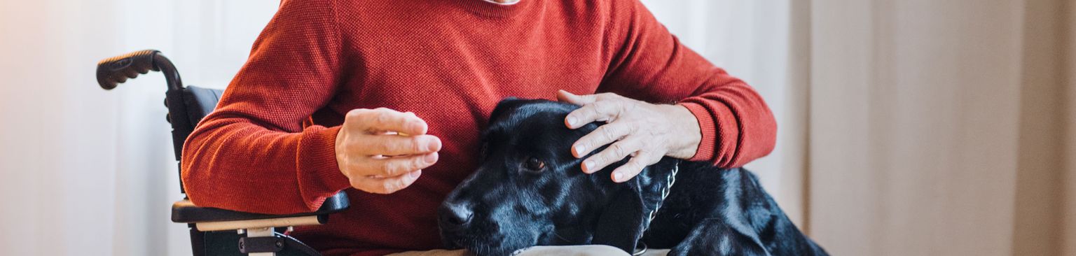 Un homme en fauteuil roulant fait des câlins à son chien fauteuil roulant, assis, fauteuil roulant motorisé, maison de retraite, maison de repos, grands-parents, soins personnels, confort, chien de thérapie, dressage avec le chien pour être autorisé en maison de retraite, homme en fauteuil roulant, personne en fauteuil roulant avec un chien, thérapie avec un chien en maison de retraite