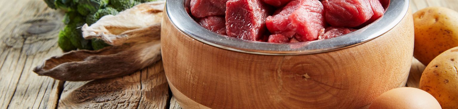friss nyers kutyaeledel étel, konyha, étel, hozzávalók, szuperétel, természetes étel, termékek, recept, szupergyümölcs, tál, nyers kutyaeledel, hús mint hányás étel
