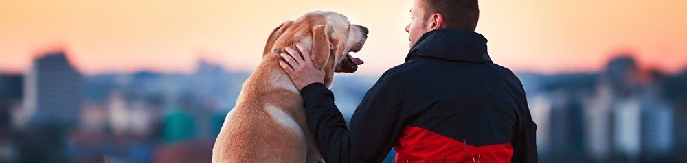 Kutyatulajdonos városnézés Labrador vörös ül a gazdájával egy nagyváros előtt, az ember legjobb barátja, nagy kutya