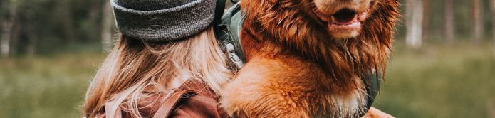 Túrázás kutyával Nova Scotia Retriever Toller a karon, közepes vörös kutyafajta fehér foltokkal, vizes kutya, kutya, amit hordozhatsz, de nem kis kutya, Kooikerhez hasonló kutya, vörös kutyafajta, világosbarna kutya