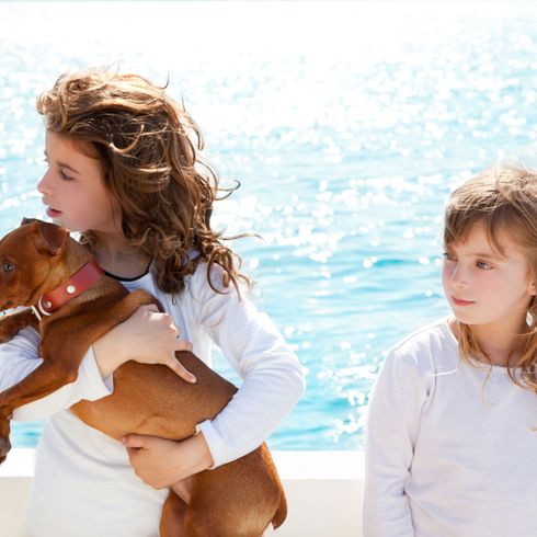 Hund, Canidae, Begleithund, Spaß, Hunderasse, Sommer, Urlaub mit Hund, Zwergpinscher Welpe mit Mädchen am Meer, kleiner brauner Hund auf dem Arm der Familie