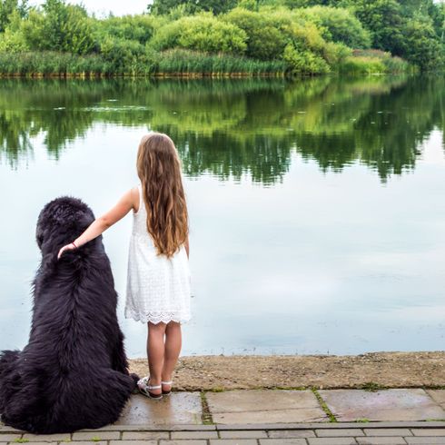 Newfoundland next to girl at lake People in nature,Photograph,Water,Bank,Photography,Long hair,Happy,Sky,Grass,Tree,