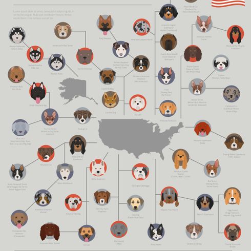 Resumen de todas las razas de perros americanas, razas de perros del mundo, cuántos perros hay en el mundo, lista de razas de perros de América