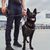 Nahaufnahme eines männlichen Sicherheitsbeamten mit einem schwarzen Norwegischen Elchhund, der auf dem Flughafengelände patrouilliert