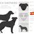 Mallorca-Schäferhund Clipart. Alle Fellfarben im Set.  Alle Hunderassen Merkmale Infografik. Vektor-Illustration