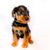 Airedale Terrier braun schwarz und weiß auf der Brust Welpe, kleiner Welpe mit rauhaar Fell, Rauhaariger Hund, Hund mit Locken