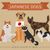 Kishu Inu, Hunderasse weiß, mittelgroßer Hund, Halber Hund, weißer Hund mit Steohren aus Japan, japanische Hunderassen, Spitzrassen aus Japan, Übersicht der vier beliebtesten Hunderassen aus Japan, Shiba Inu, Tosa Inu