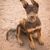 Australian Kelpie Welpe sitzt auf einem boden und hat noch Kippohren, Hund mit Stehohren hat als Welpen noch halbe Stehohren, Noch nicht ganz stehende Ohren, brauner Hund zum Hüten von Schafen, Schäferhund aus Australian, australische Hunderasse