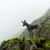 Peruanischer Nackthund auf Felsen, Hunderasse, Gebirge, Nebel, Peru