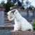 Sealyham Terrier weiß sitzt auf einer Mauer, kleiner Anfängerhund weiß mit welligem Fell, Dreecksohren, Hund mit vielen Haaren auf der Schnauze, Familienhund, Hunderasse aus Wales, Hunderasse aus England, britische Hunderasse