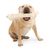 A large English Bulldog and a Chinese Shar-Pei mix with a very large rawhide bone in its mouth