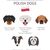 Dogs by country of origin. Polish dog breeds. Infographic template. Vector illustration